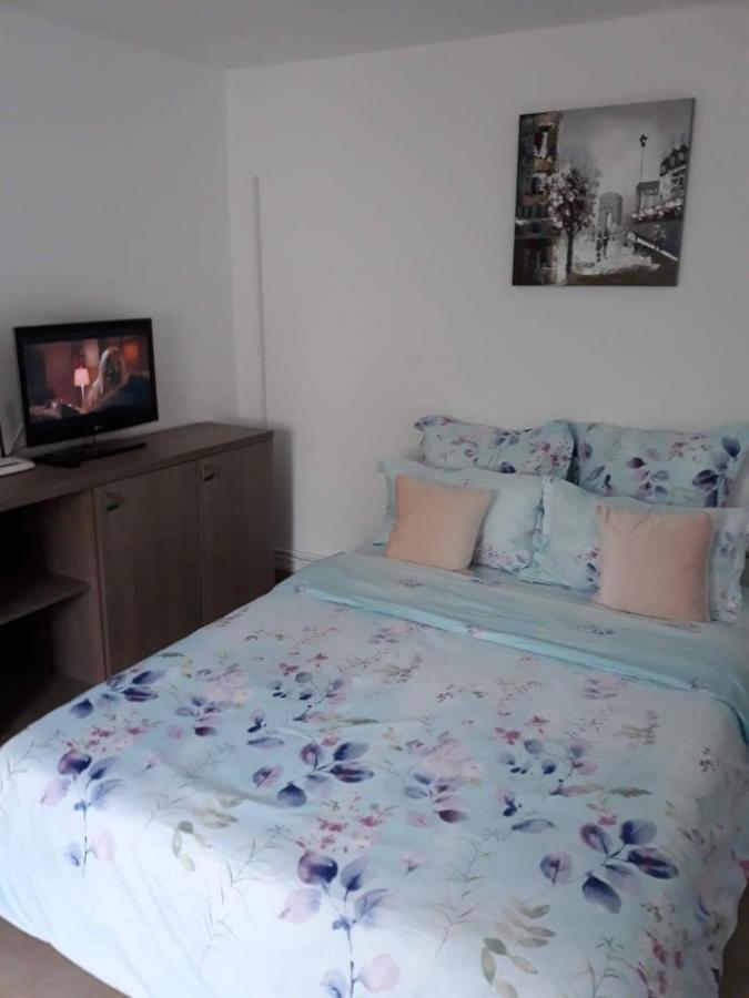 Joy Residence Тімішоара Екстер'єр фото